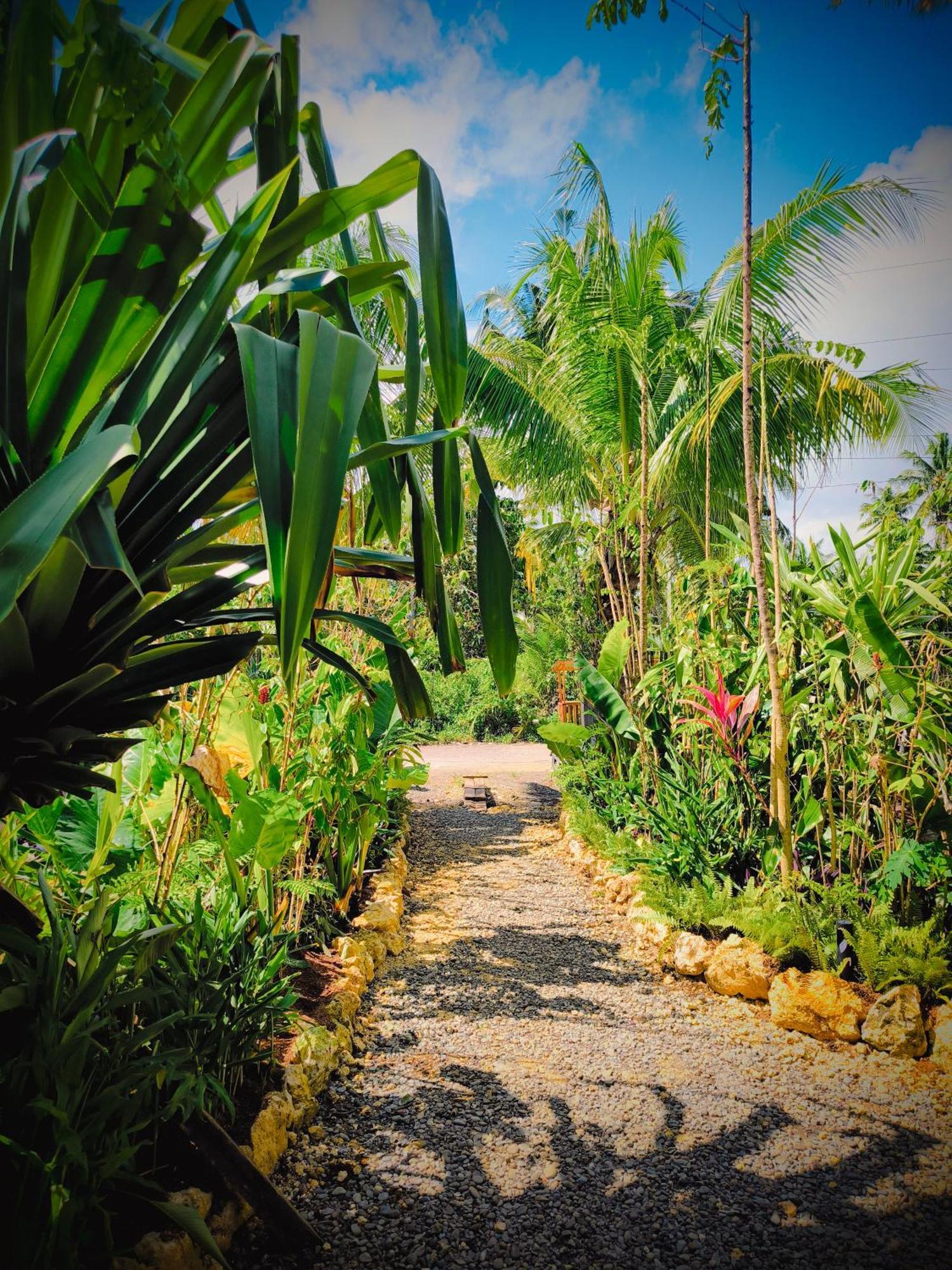 The Ohm Siargao Resort General Luna  Dış mekan fotoğraf